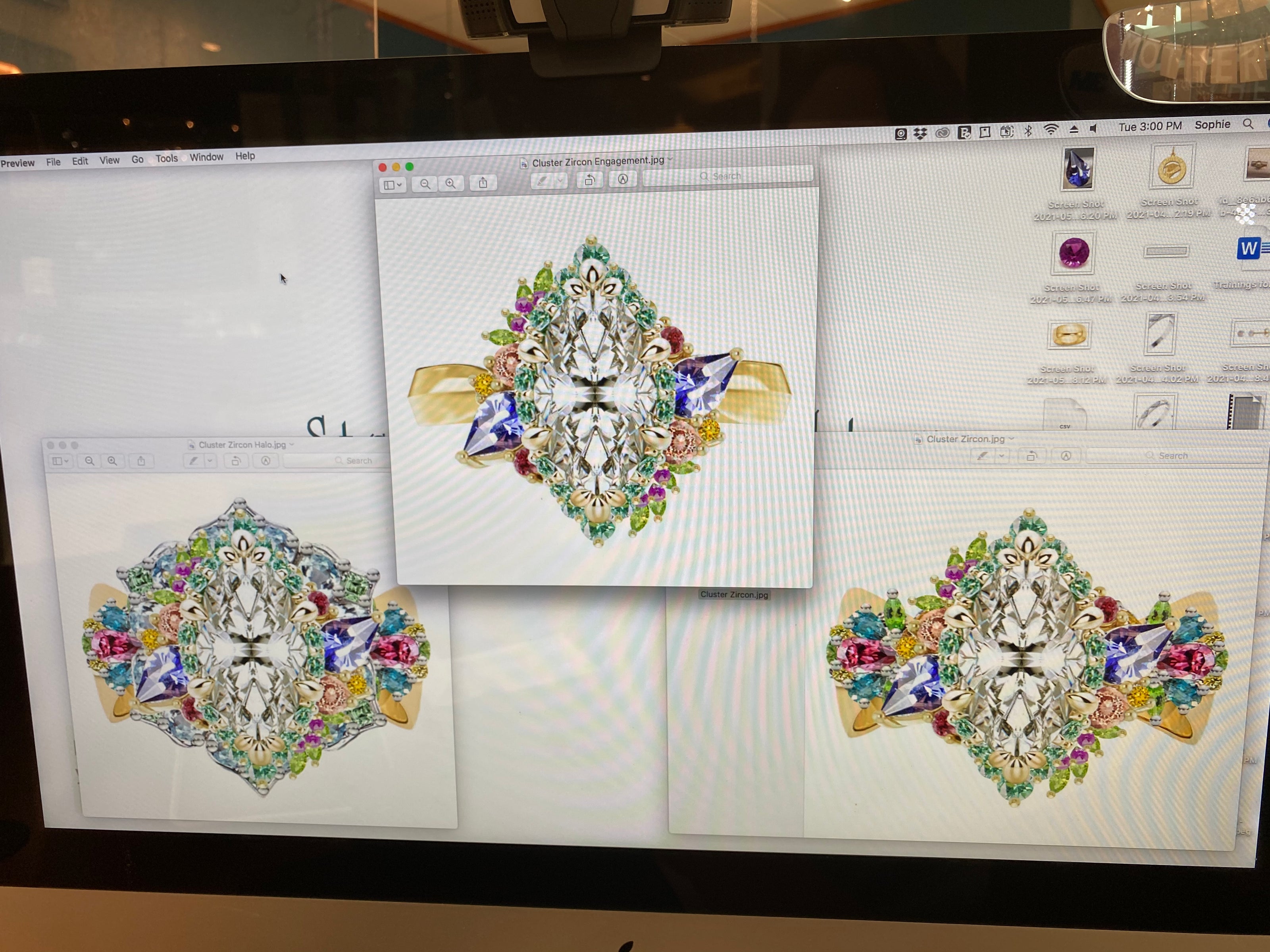 Computer screen displaying jewelry design software with diamond and gemstone illustrations.
